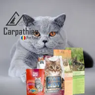 Ce hrana sa ii ofer pisicii mele British Shorthair?